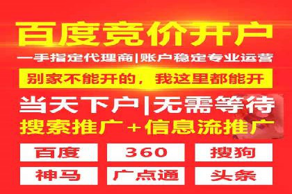 电商平台信息流广告的创意与优化：成功案例分析