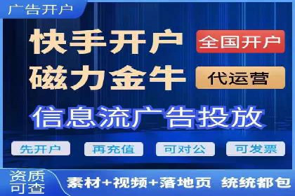 深度解析：百度竞价排名的成功案例及启示
